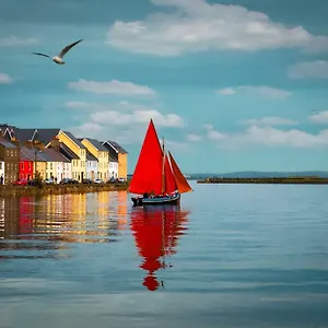 https://the-herons-rest-boutique-townhouse.galwayhotelsireland.net